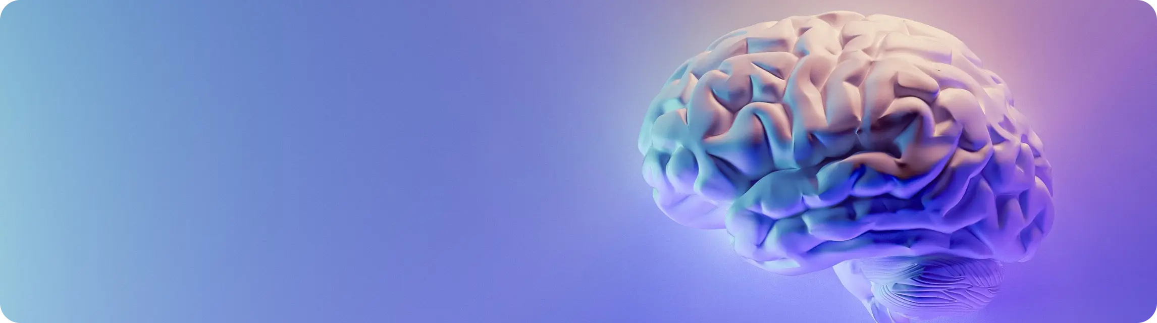A graphic of a brain against a purple background.